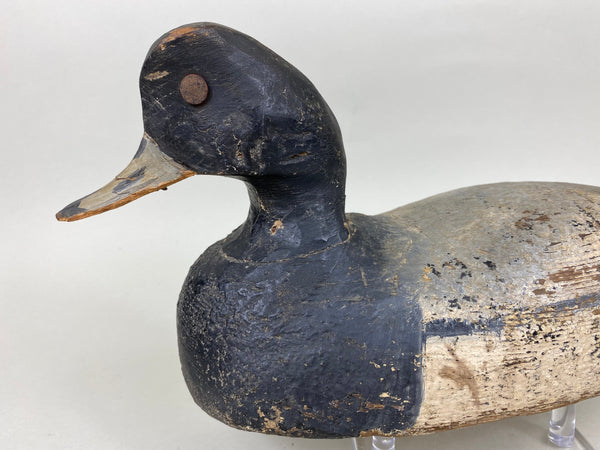 Hudson family Blue Bill Drake, Circa 1930's (#5782)