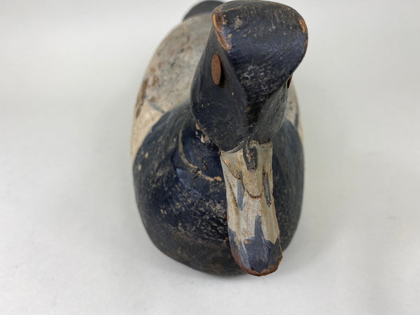 Hudson family Blue Bill Drake, Circa 1930's (#5782)