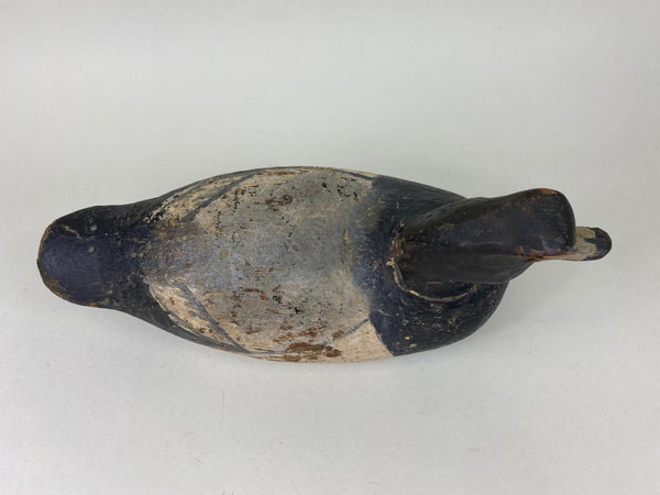 Hudson family Blue Bill Drake, Circa 1930's (#5782)