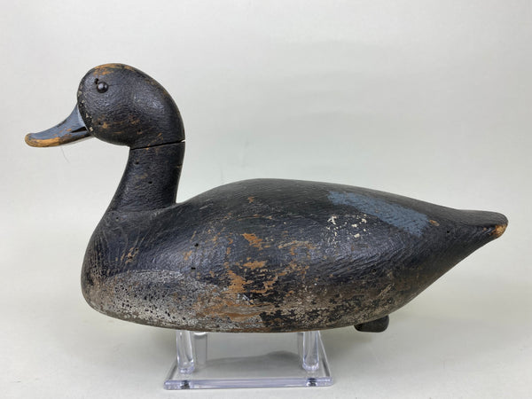 Hi-Headed Folky Canadian Blue Bill, Circa 1920's (#5784)