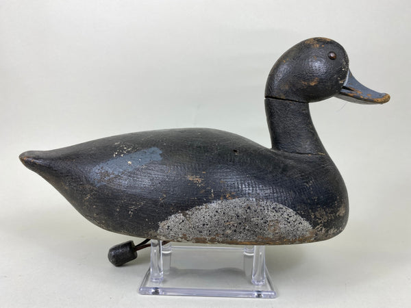 Hi-Headed Folky Canadian Blue Bill, Circa 1920's (#5784)