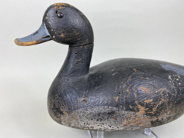 Hi-Headed Folky Canadian Blue Bill, Circa 1920's (#5784)