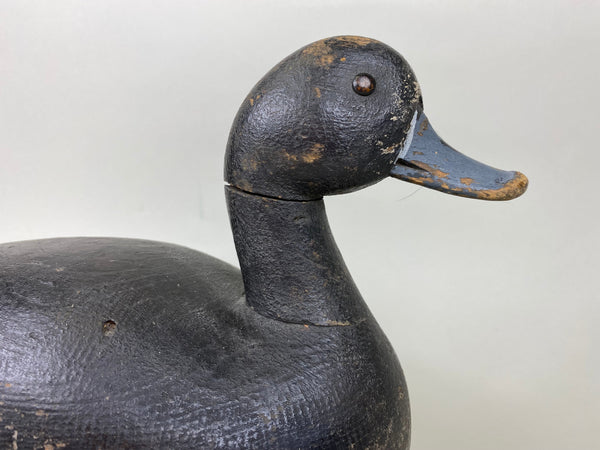 Hi-Headed Folky Canadian Blue Bill, Circa 1920's (#5784)