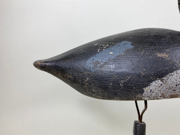 Hi-Headed Folky Canadian Blue Bill, Circa 1920's (#5784)