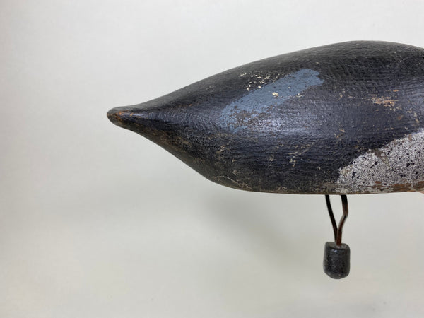 Hi-Headed Folky Canadian Blue Bill, Circa 1920's (#5784)