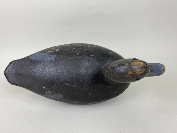 Hi-Headed Folky Canadian Blue Bill, Circa 1920's (#5784)