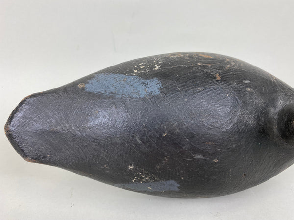 Hi-Headed Folky Canadian Blue Bill, Circa 1920's (#5784)