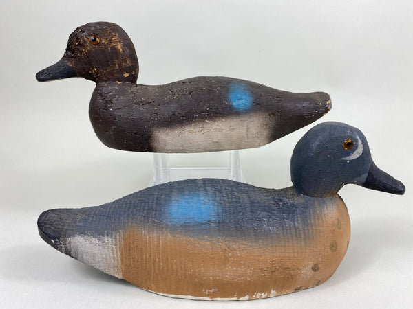 Animal Trap Blue Wing Teal, Excellent Condition (#5807)