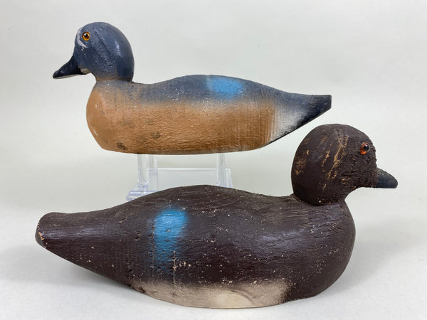 Animal Trap Blue Wing Teal, Excellent Condition (#5807)