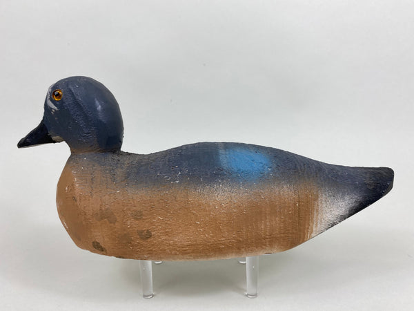Animal Trap Blue Wing Teal, Excellent Condition (#5807)