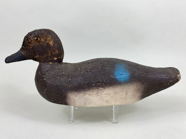 Animal Trap Blue Wing Teal, Excellent Condition (#5807)