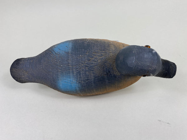 Animal Trap Blue Wing Teal, Excellent Condition (#5807)