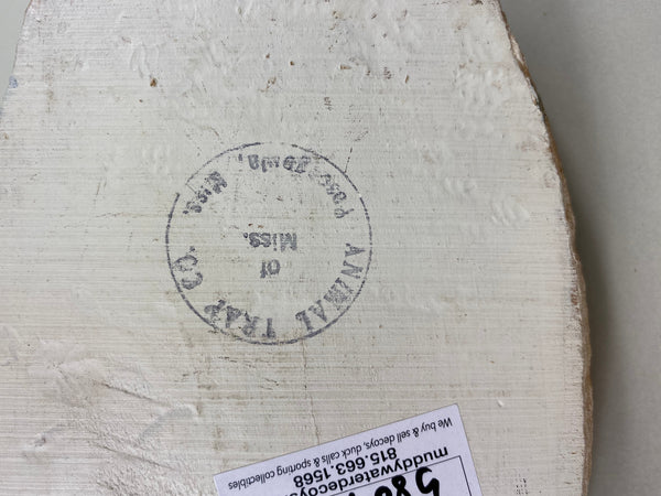 Animal Trap Blue Wing Teal, Excellent Condition (#5807)