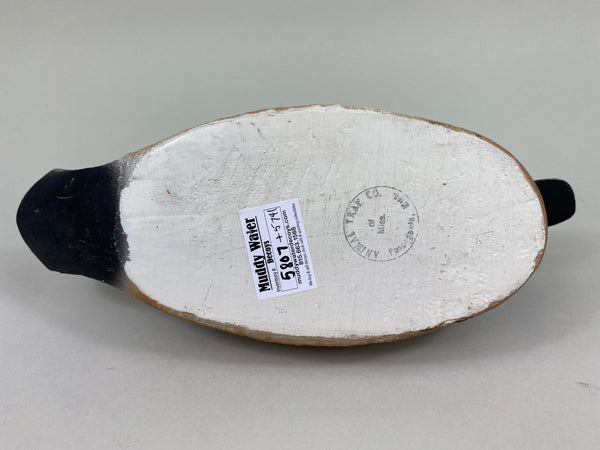 Animal Trap Blue Wing Teal, Excellent Condition (#5807)