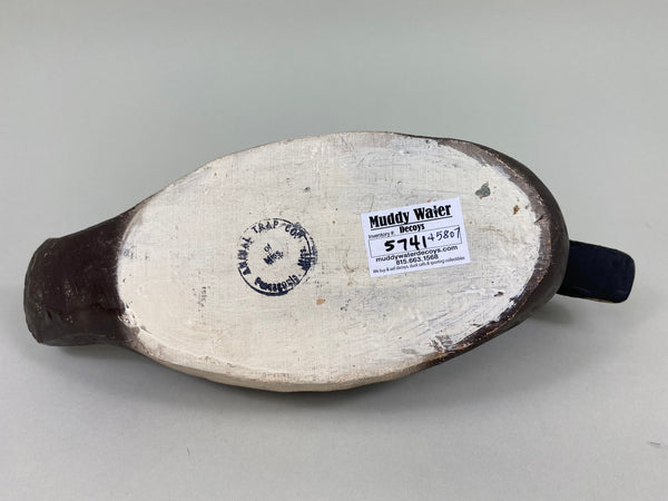 Animal Trap Blue Wing Teal, Excellent Condition (#5807)