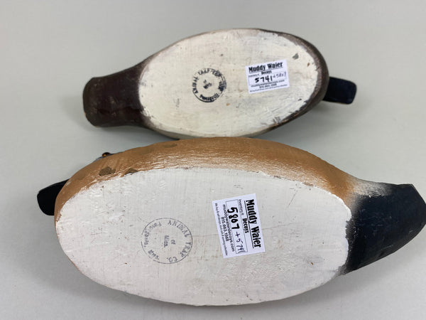 Animal Trap Blue Wing Teal, Excellent Condition (#5807)