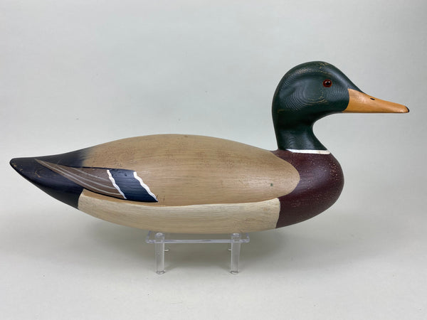 Harry V. Shourds Mallard Drake- All Original  (#5815)