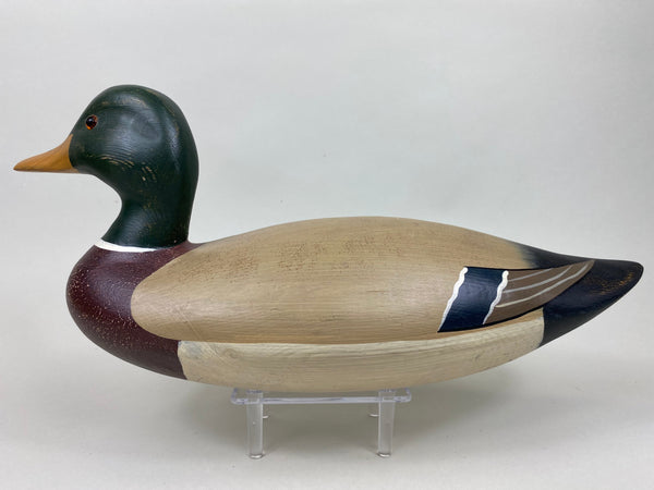 Harry V. Shourds Mallard Drake- All Original  (#5815)
