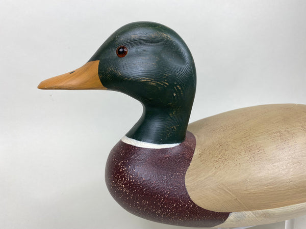 Harry V. Shourds Mallard Drake- All Original  (#5815)