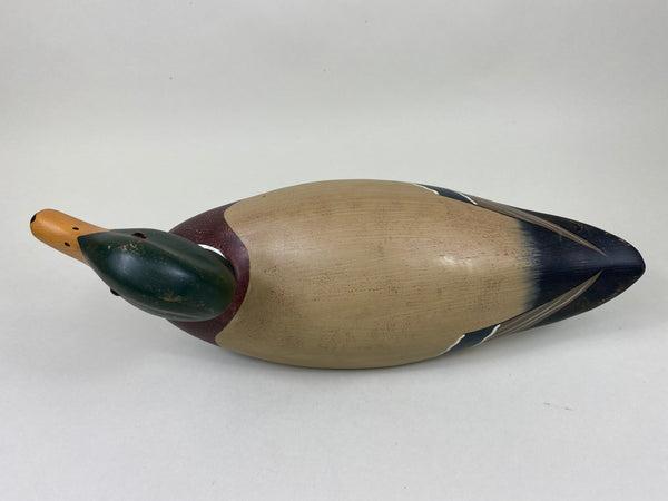 Harry V. Shourds Mallard Drake- All Original  (#5815)