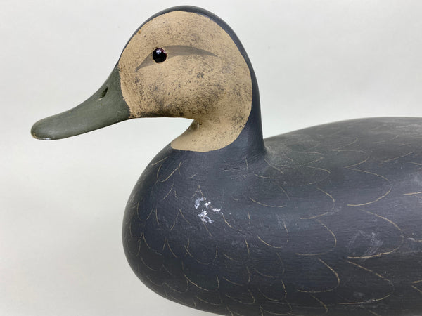 Harry V. Shourds Black Duck, All Original (#5822)