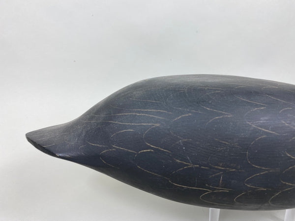 Harry V. Shourds Black Duck, All Original (#5822)