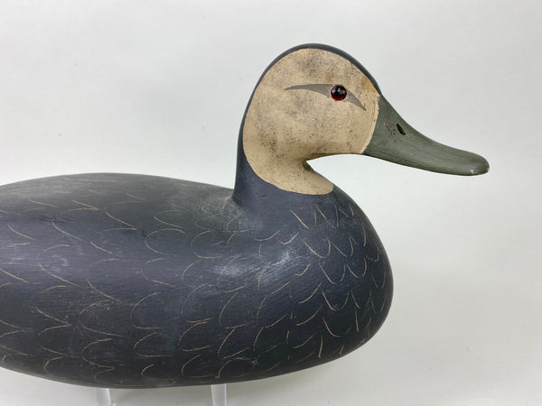 Harry V. Shourds Black Duck, All Original (#5822)