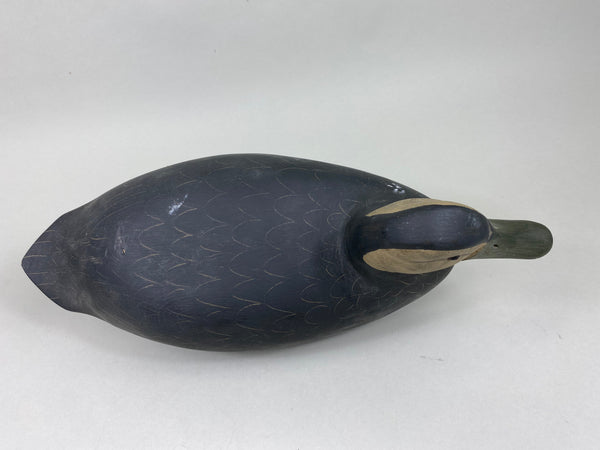 Harry V. Shourds Black Duck, All Original (#5822)