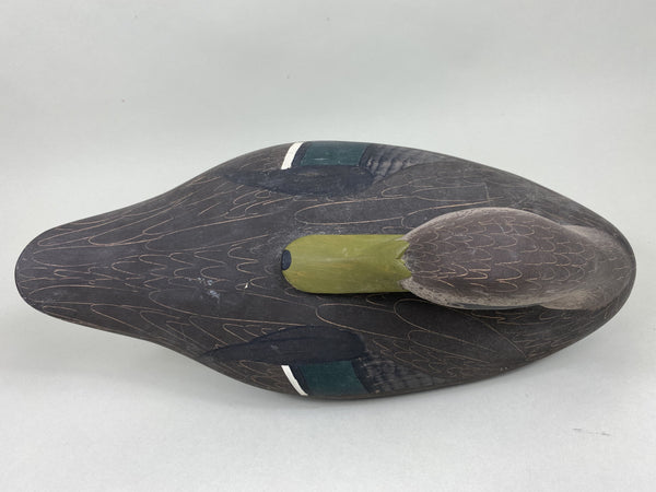 Jim Pierce Preening Black Duck (#5823)