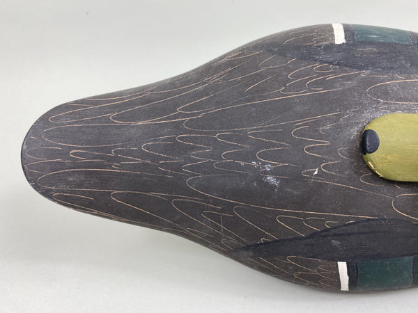 Jim Pierce Preening Black Duck (#5823)