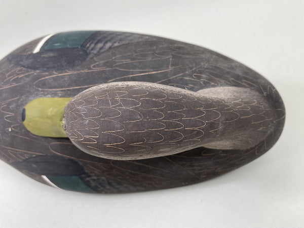 Jim Pierce Preening Black Duck (#5823)