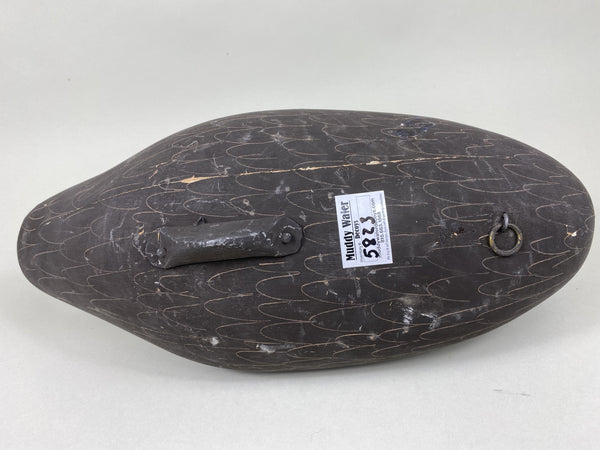 Jim Pierce Preening Black Duck (#5823)