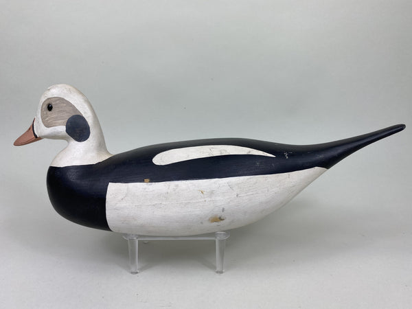 H. V. Shourds Old Squaw Drake, All Original (#5824)