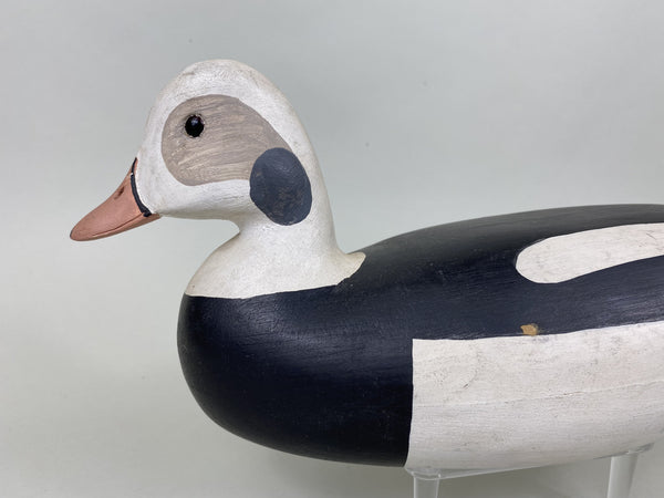 H. V. Shourds Old Squaw Drake, All Original (#5824)