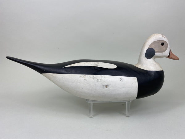 H. V. Shourds Old Squaw Drake, All Original (#5824)