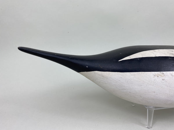 H. V. Shourds Old Squaw Drake, All Original (#5824)