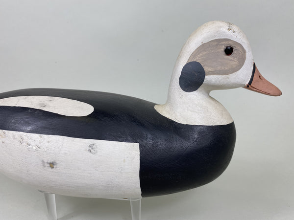 H. V. Shourds Old Squaw Drake, All Original (#5824)