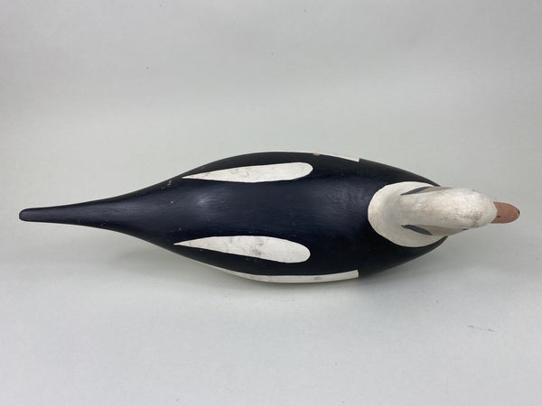 H. V. Shourds Old Squaw Drake, All Original (#5824)