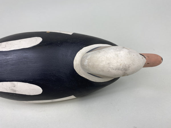 H. V. Shourds Old Squaw Drake, All Original (#5824)