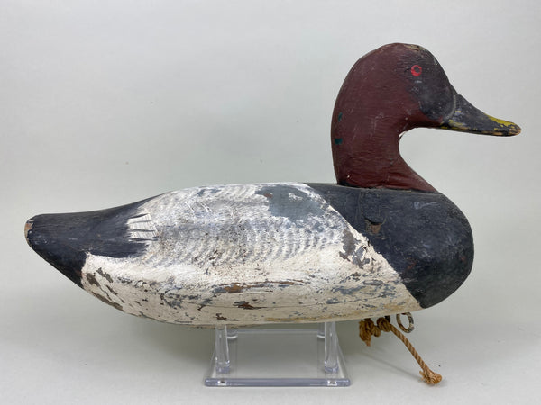 Jessie Urie Canvasback Drake, Branded  (#5825)