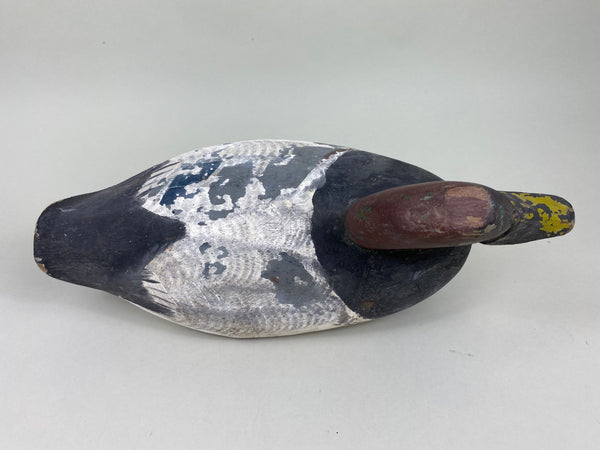 Jessie Urie Canvasback Drake, Branded  (#5825)