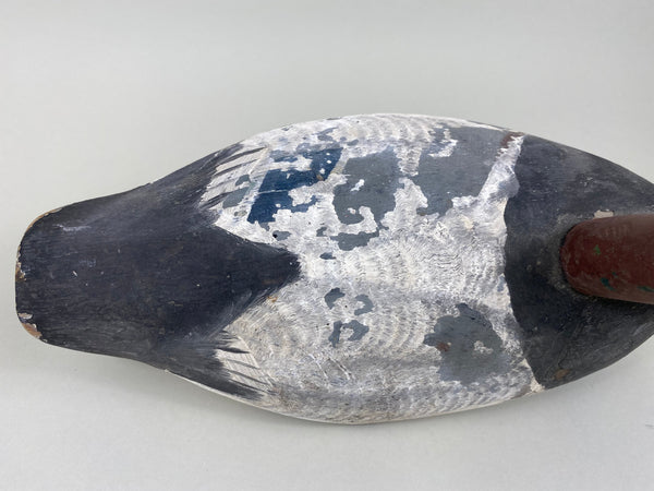 Jessie Urie Canvasback Drake, Branded  (#5825)