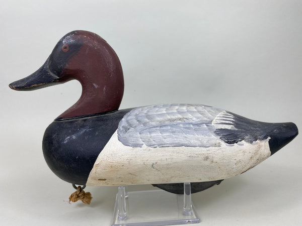 Jessi Urie Canvasback Drake (#5828)