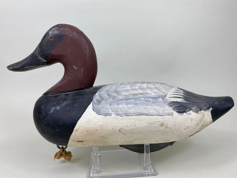 Jessi Urie Canvasback Drake (#5828)