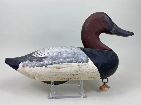 Jessi Urie Canvasback Drake (#5828)