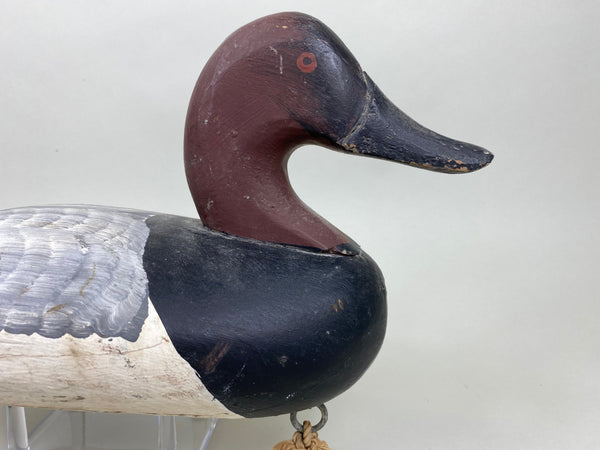 Jessi Urie Canvasback Drake (#5828)