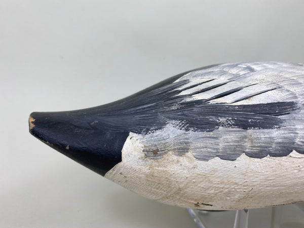 Jessi Urie Canvasback Drake (#5828)