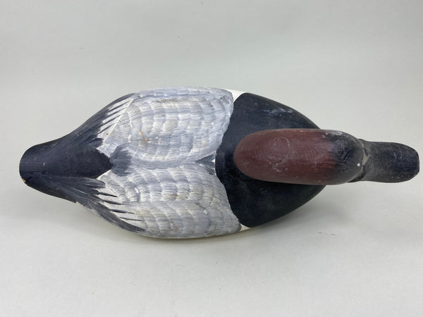 Jessi Urie Canvasback Drake (#5828)