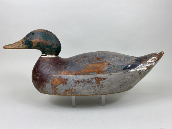 Mason Premier Mallard Drake, Worn Original Paint (#5834)