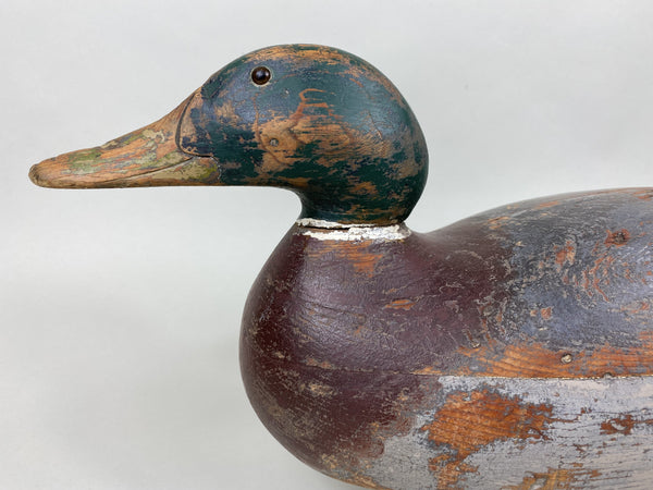 Mason Premier Mallard Drake, Worn Original Paint (#5834)